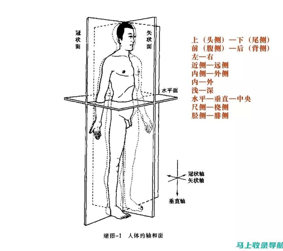 全方位解析SEO优化的核心要点，助力网站营销效果倍增